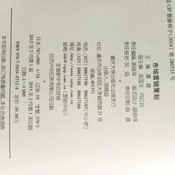 市場營銷策劃 從戰(zhàn)略布局到價(jià)值實(shí)現(xiàn)的完整指南